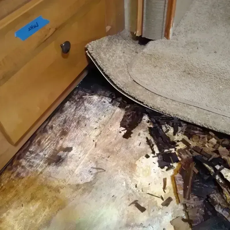 Best Wood Floor Water Damage Service in North Bend, OR